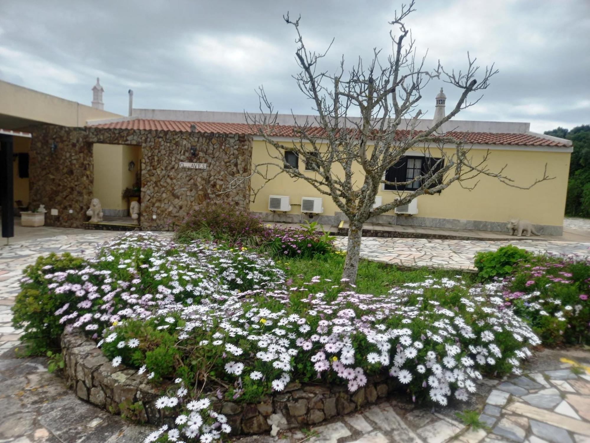 Gasthaus Quinta Das Aves Lagos Exterior foto